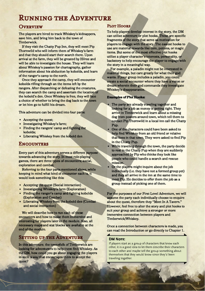 You Meet In A Tavern - A First Level D&D Adventure